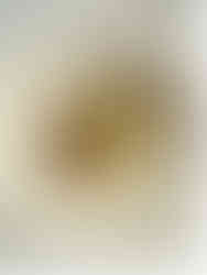 Restaurant near Vidago Palace in Portugal