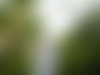 Why You Should Choose An All-Inclusive Resort For Your Destination Wedding