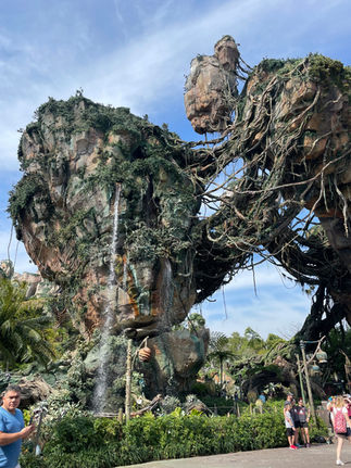 Floating rocks in the Pandora world section of Animal Kingdom Disney World
