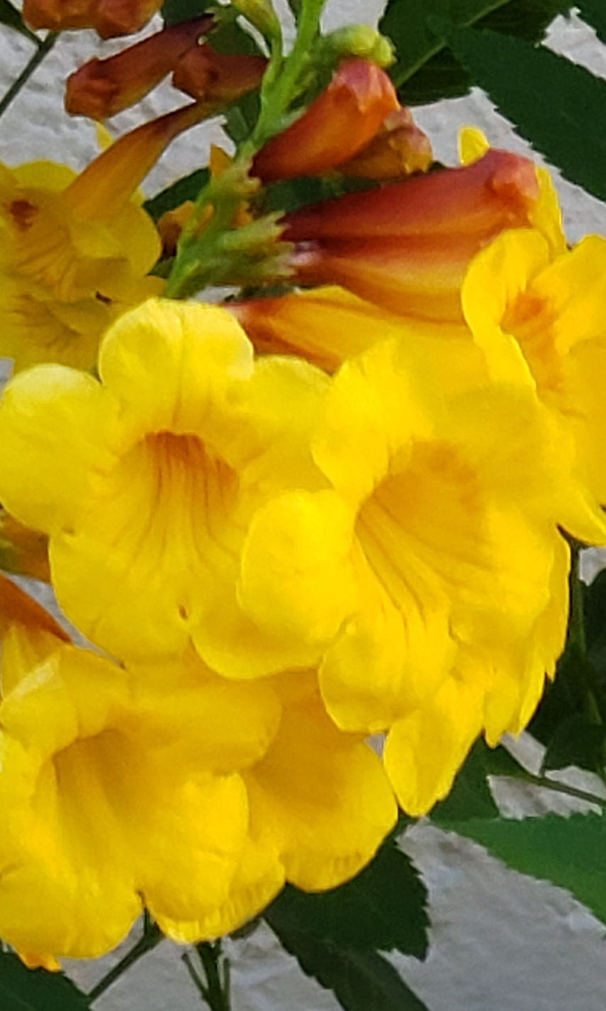 20220521_173456 (2)_edited.jpg
