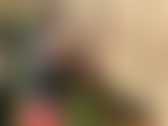 Just do the Damn thing.