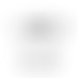 全国高校野球選手権 優勝おめでとう!沖縄尚学野球部