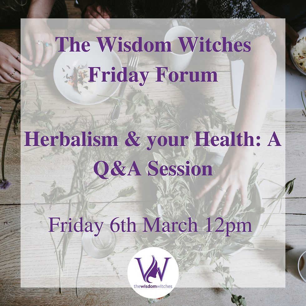 Weekly Forum Friday 12pm | Herbalism and your Health: a Q&A Session