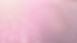 bulles roses