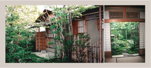 拙宅/茶室の外観 八帖広間ノ席から内露地