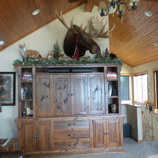 living room with moosehead