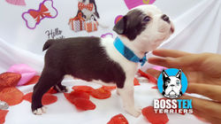 16144923_10158165528135311_1113958188_o copy