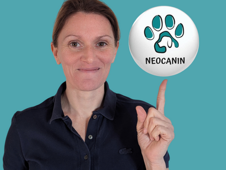 Neocanin est aussi sur Facebook 🐾