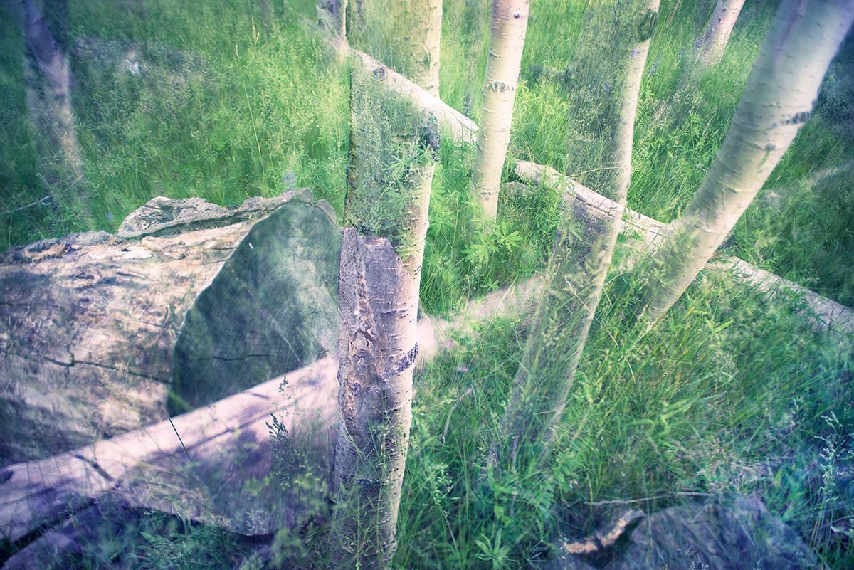 "16:49 Estival Solstice"