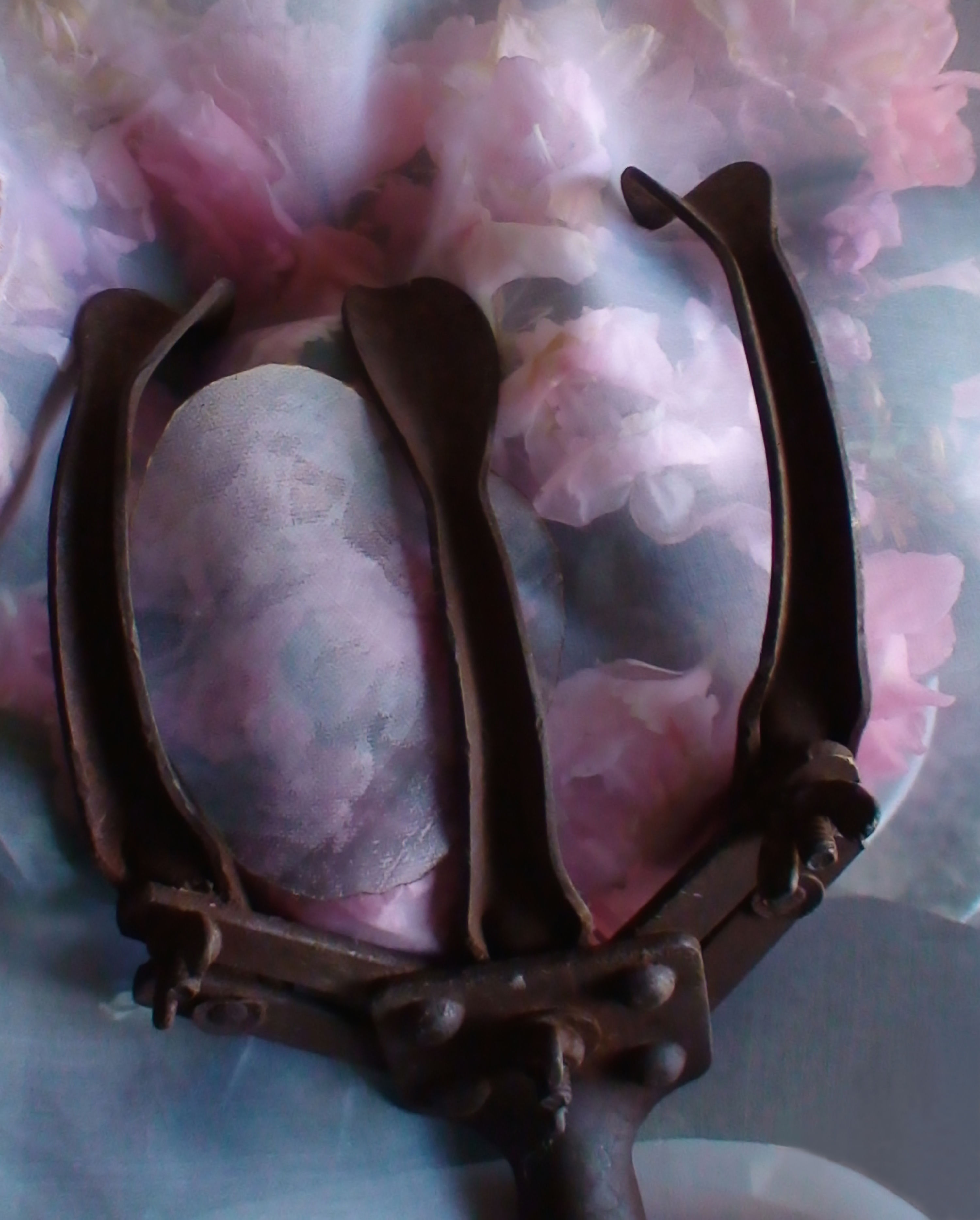 "Lazarus Returns to a life of eternal gardening"