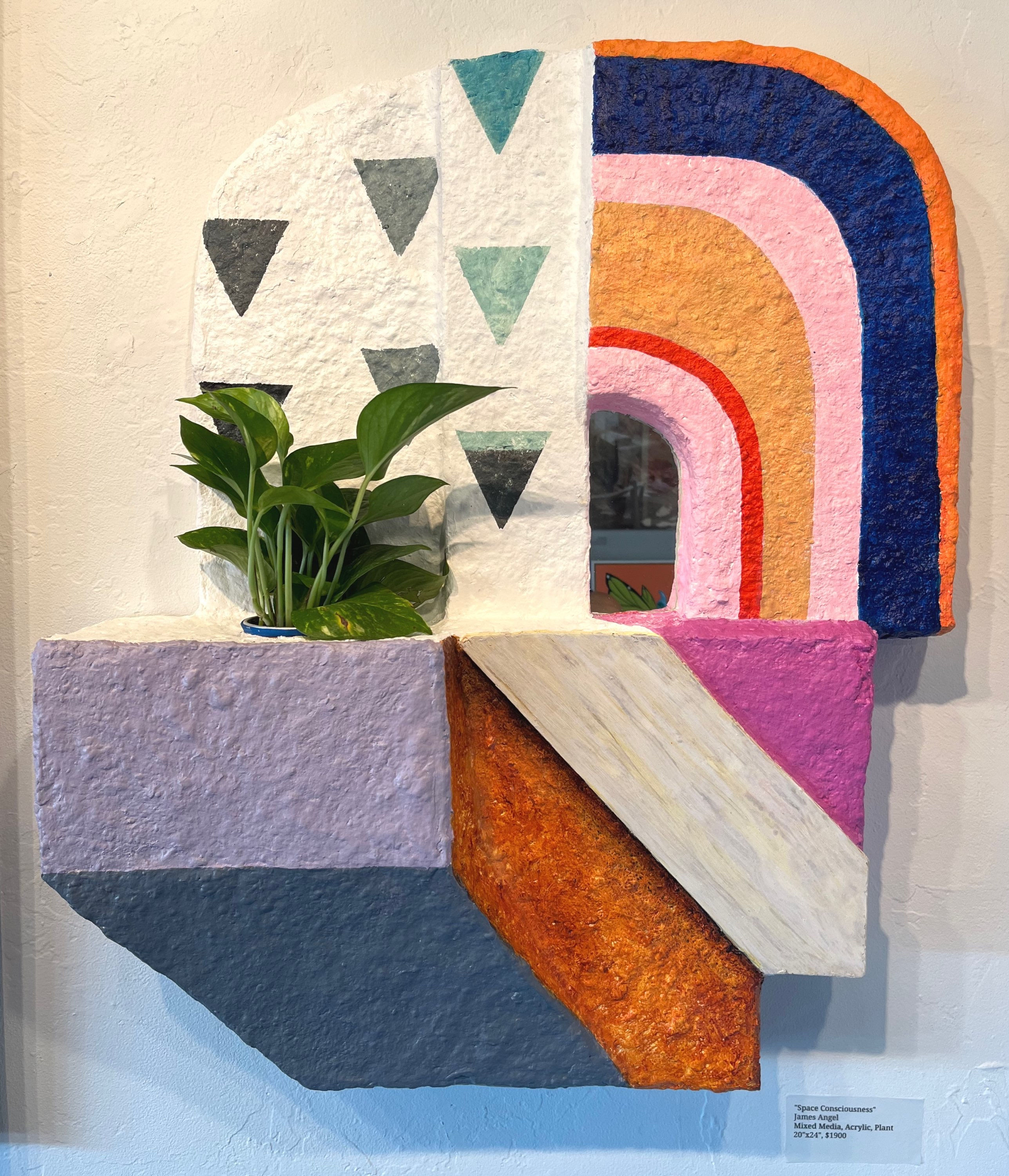 “Space Consciousness”