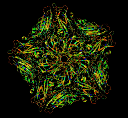 pymol_rotation.gif