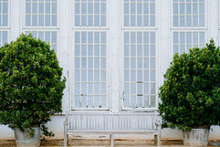 Ungestelltes Brautpaarfoto im Schlossgarten von Schloss Dyck in Jüchen, fotografiert in lebendigen und natürlich sättigenden Farben.