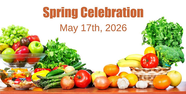 spring fest 2026.jpg