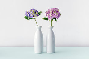 I heart hydrangea.                                        My secrets to making them last. 