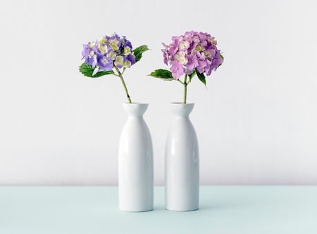 Hydrangea Flowers
