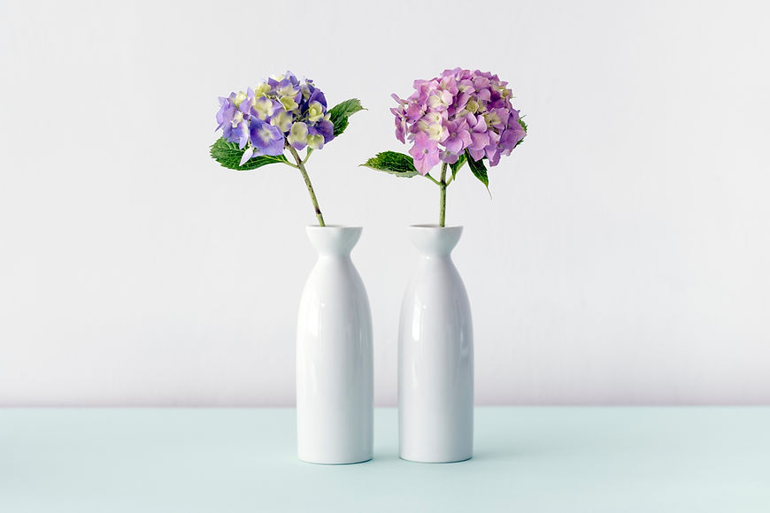 Hydrangea Flowers
