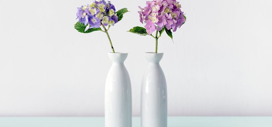 アジサイの花