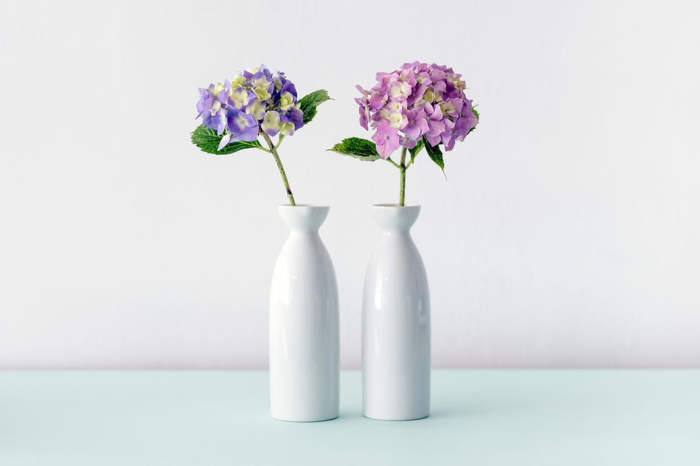 アジサイの花