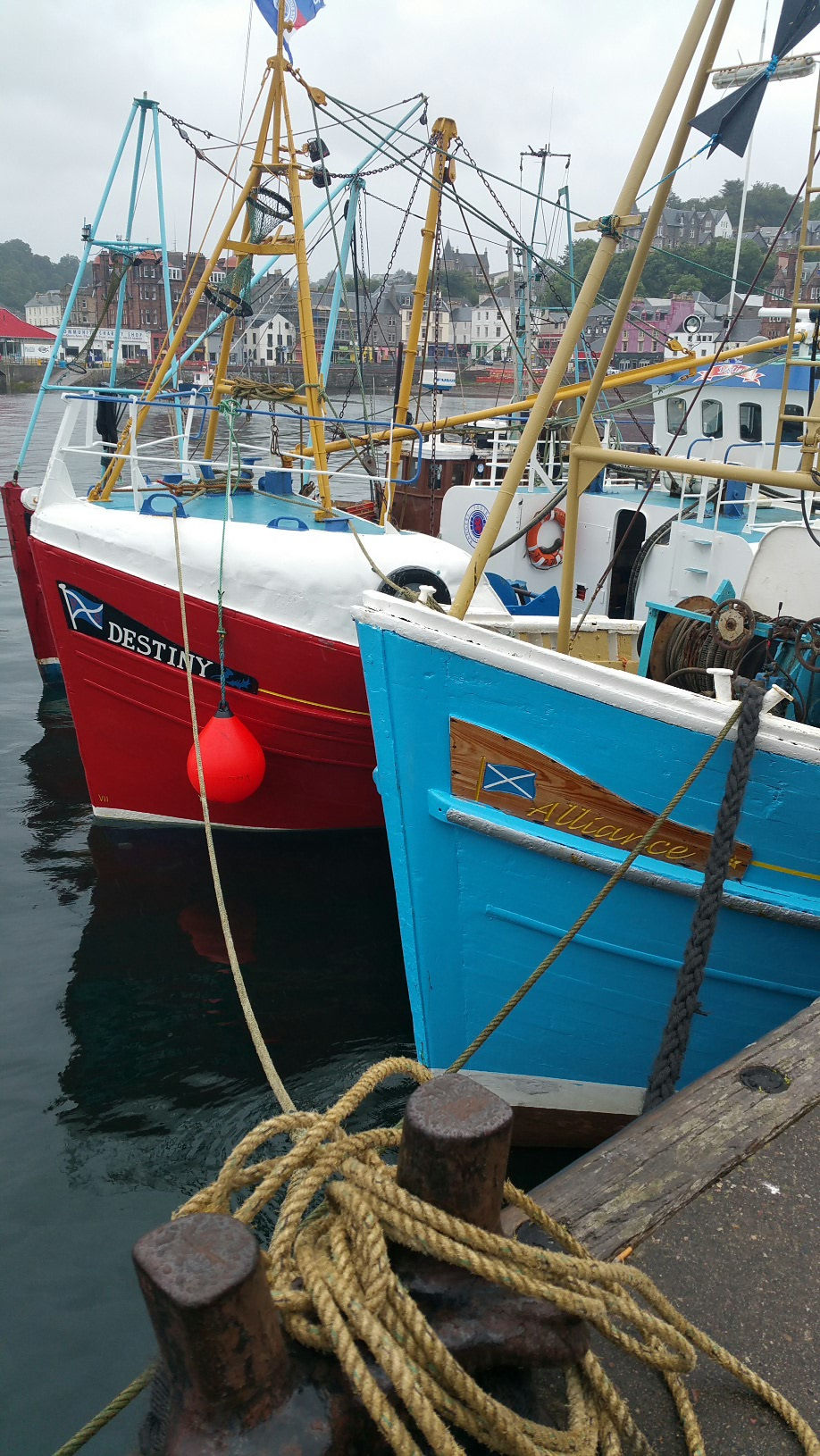 wp-1466965996532.jpg
