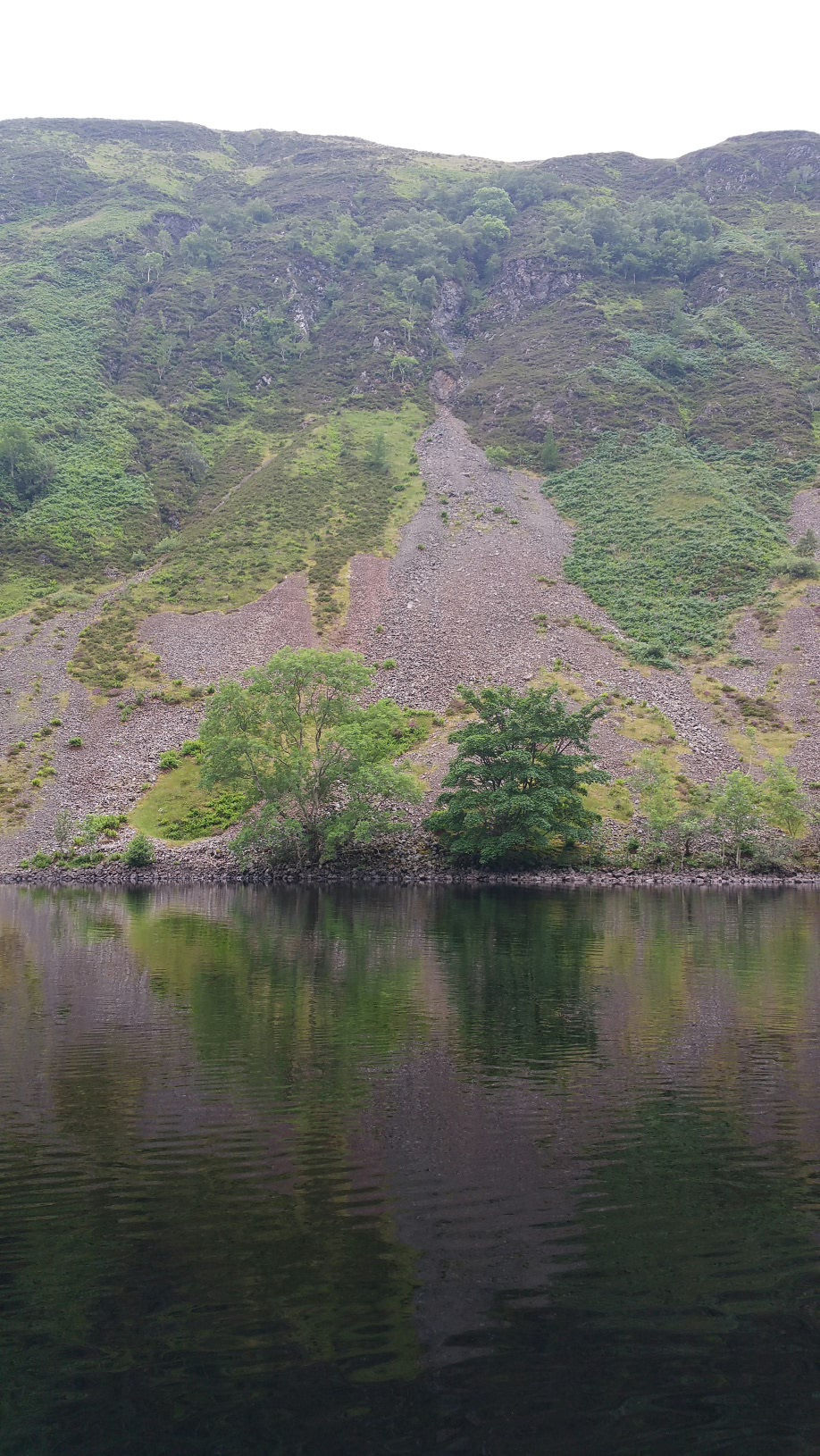 wp-1466965996478.jpg