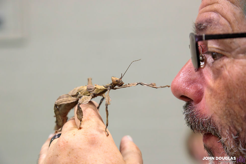 Bug Expo 2026 Images now available!