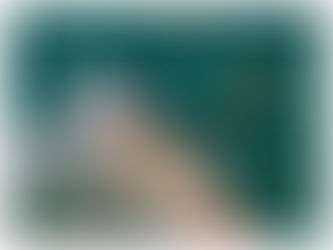  We will supply you with professional-grade snorkeling equipment and you will safe.