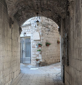 PXL_20260426_142527107.jpg