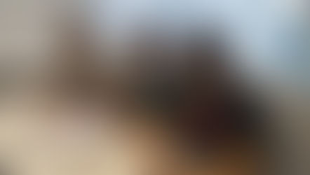 Meilenstein - Go Crush wird zur GmbH