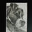Thumbnail: Pet Portrait -Pencil 8x10