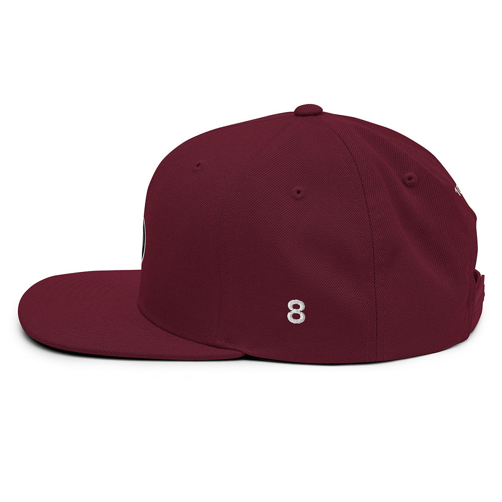 Thumbnail: Snapback Hat - 100% (#8)