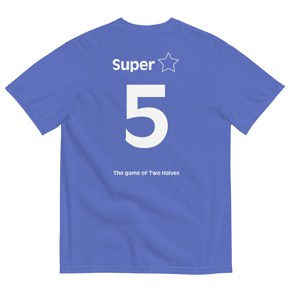 Thumbnail: THE GAME OF TWO HALVES t-shirt