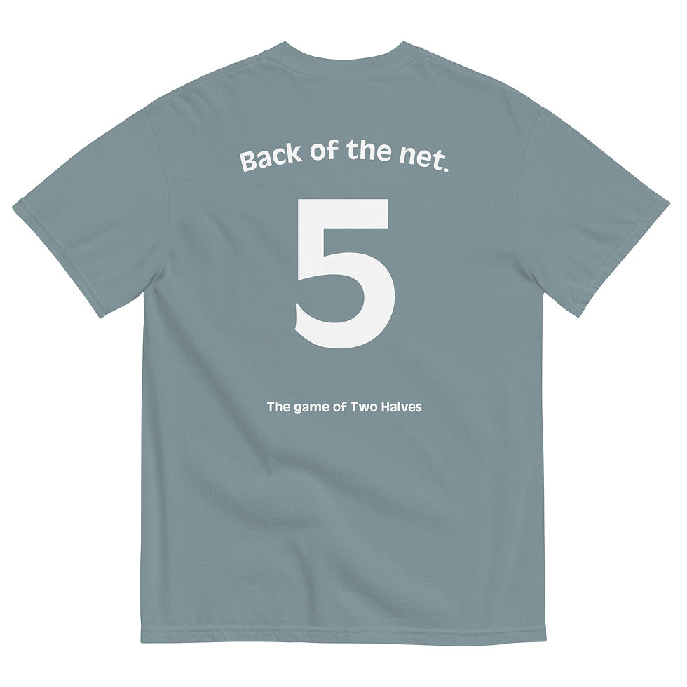 Thumbnail: THE GAME OF TWO HALVES t-shirt
