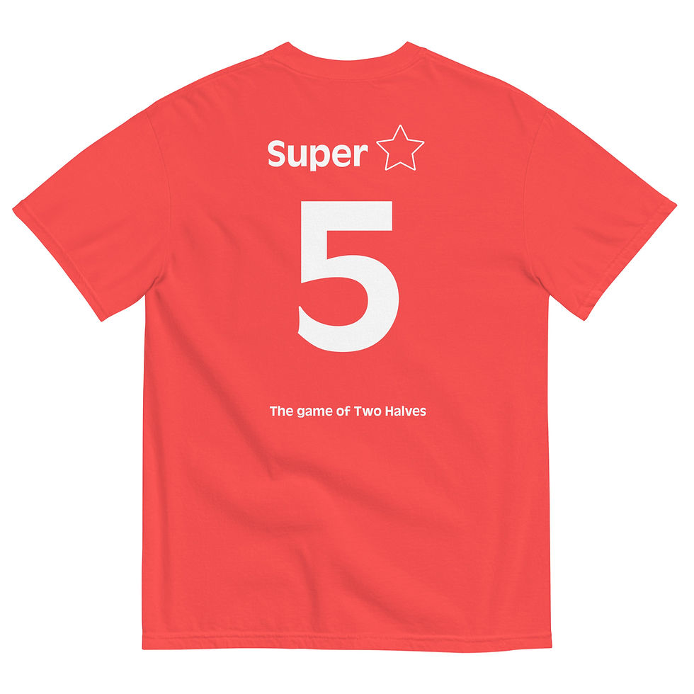 Thumbnail: THE GAME OF TWO HALVES t-shirt