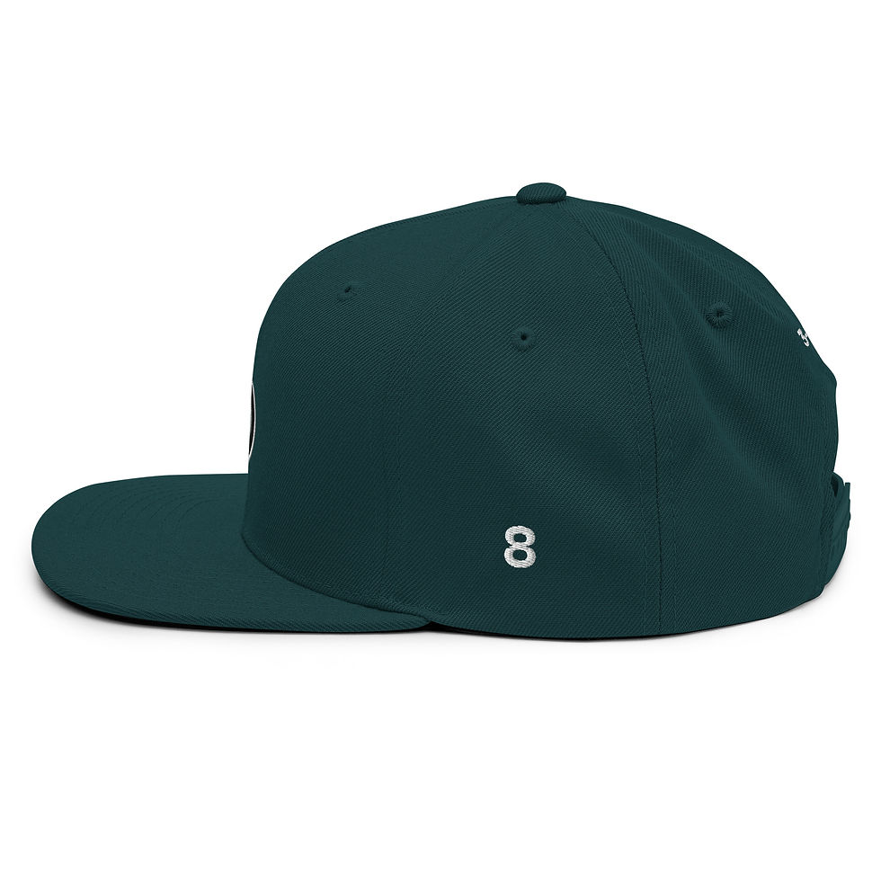Thumbnail: Snapback Hat - 3-3-4 (#8)