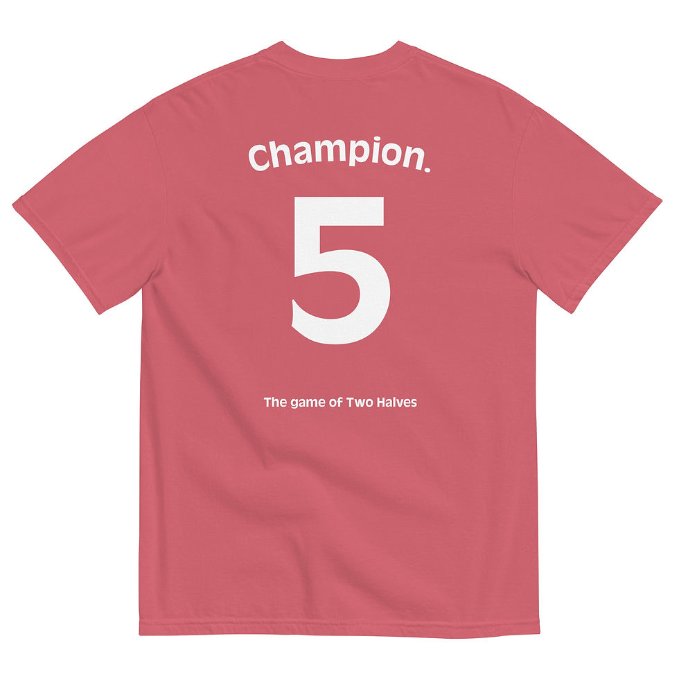 Thumbnail: THE GAME OF TWO HALVES t-shirt