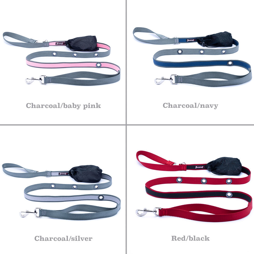 Thumbnail: 2tone Hands Free Leash 1" Wide