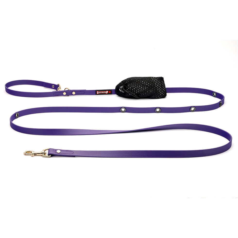 Thumbnail: Polyvinyl/BioThane Hands Free Lead 5/8" Wide