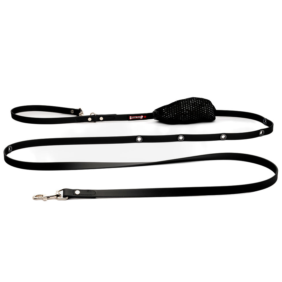 Thumbnail: Polyvinyl/BioThane Hands Free Lead 5/8" Wide
