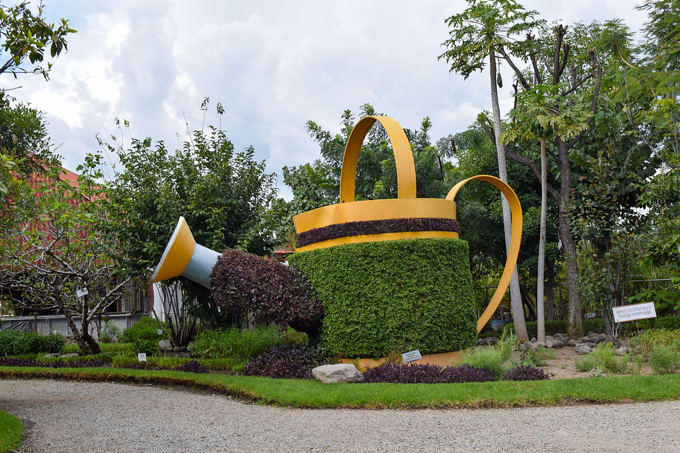 Regadera esculpida con arbusto.