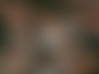 Prefeitura de Água Branca fará velório coletivo no Ginásio de Esportes com vítimas do acidente