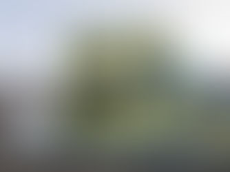 Água Branca na mira da Polícia Federal