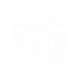 ICONE_4.png