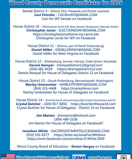 2026 Wood Co Dem Candidates.jpg