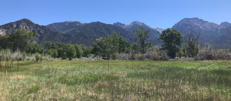 The Baca Refuge Acquires Important New Land