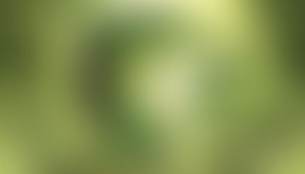 Campaign Culminates With “Road to Recycling” and Brochure, Press release #4
