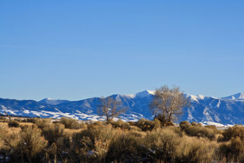   SLVEC's Top 5 Accomplishments of 2020