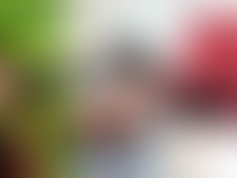 Explore the different varieties of visual art