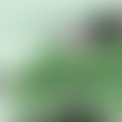 In the spring of 1076, from this vantage point, Su Shi watched a scene that stirred a profound meditation on memory and belonging. It was the time of the Festival of Forbidden Fires, a two-day period preceding Qingming. This festival recalls the ancient, tragic tale of Zi-tui, a loyal follower so wounded by his king's neglect that he chose to perish in a mountain fire rather than accept a belated reward.