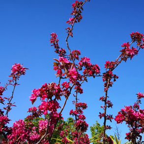 偶成 Extempore verse